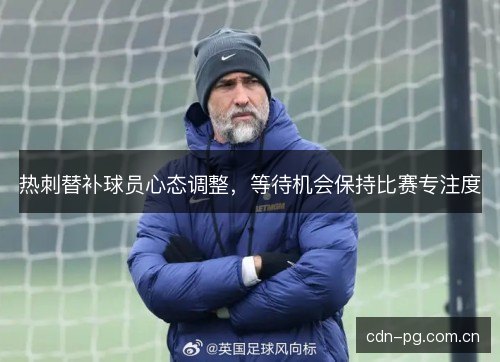热刺替补球员心态调整，等待机会保持比赛专注度